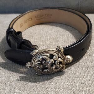 Brighton turtle belt